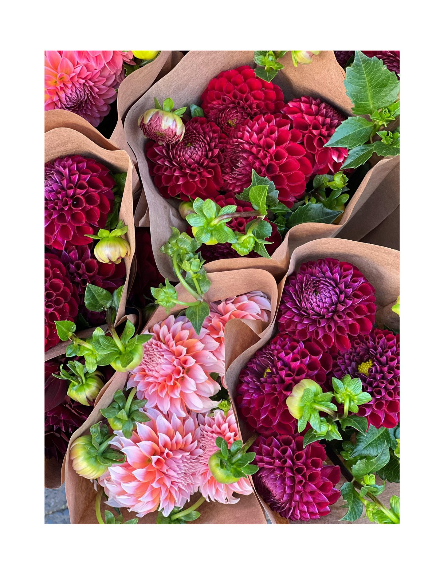 Full Season Bi-Weekly Bouquet Subscription (CSA) Pickup