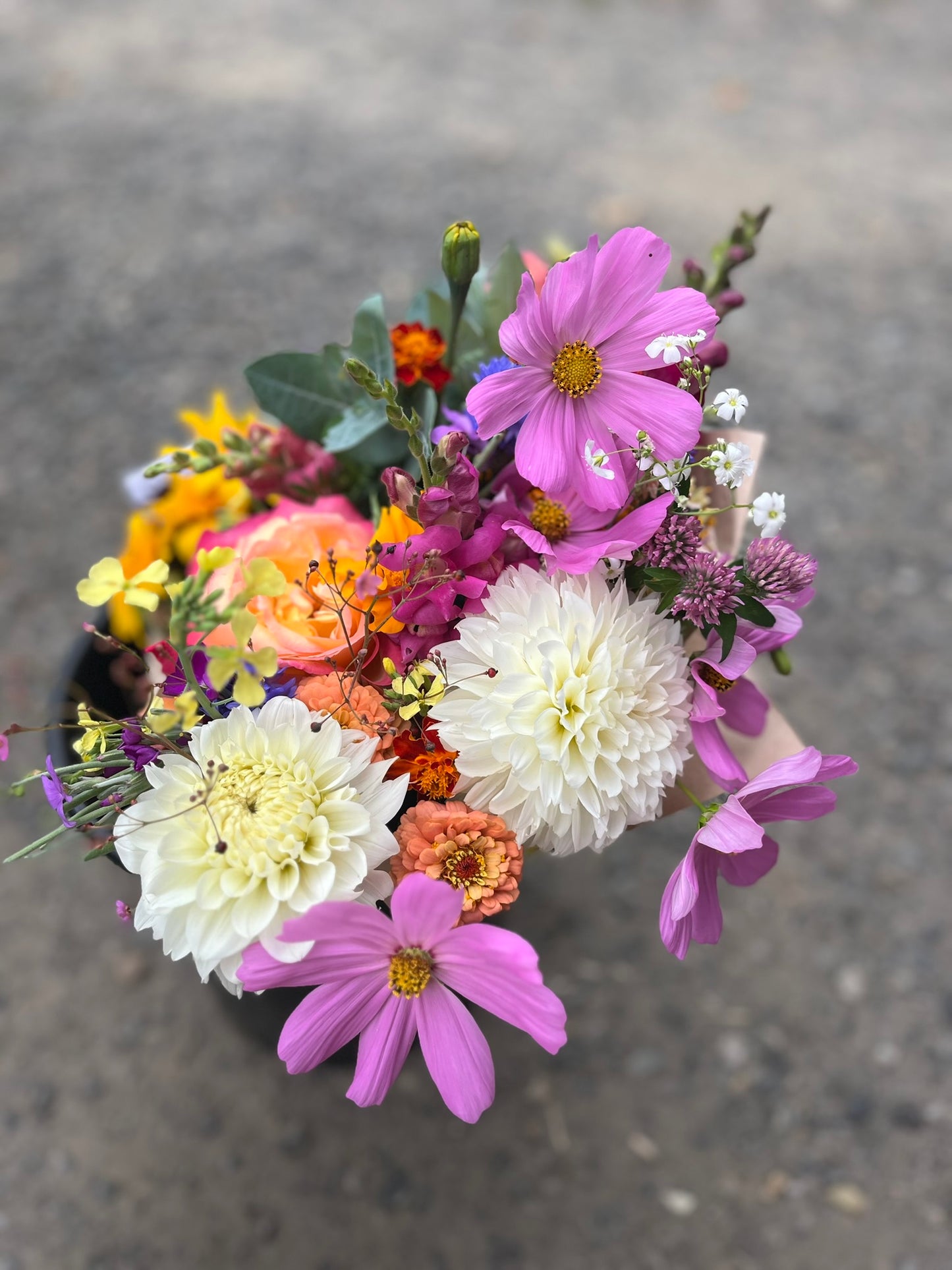 Spring Flower Subscription | Public CSA