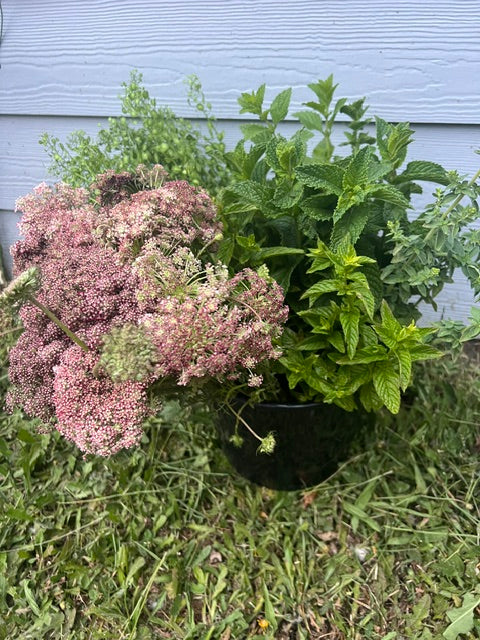 Bucket of Foliage *pre-order*