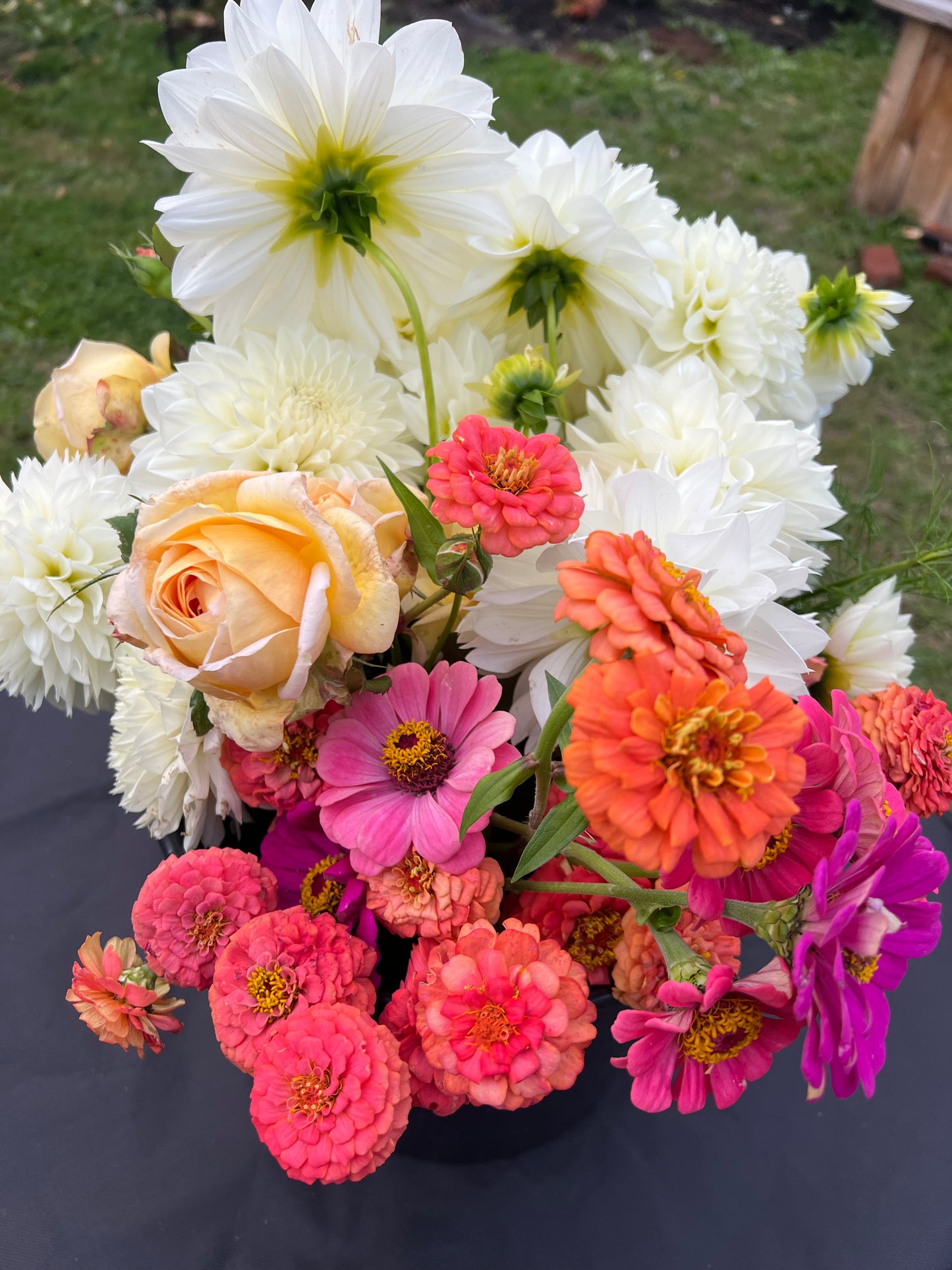 Full Season Bi-Weekly Bouquet Subscription (CSA) Pickup