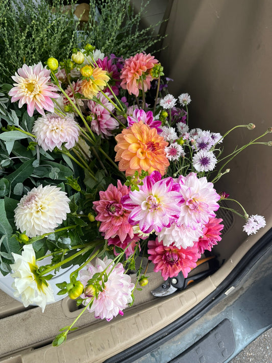 Bucket of Blooms | *Pre-Order*