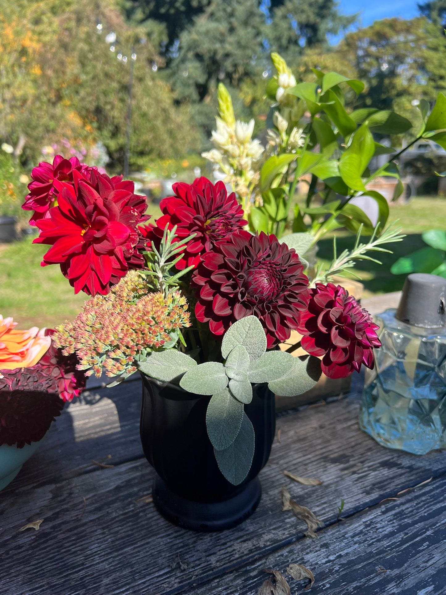 October Dahlia Bouquet Subscription | Public CSA