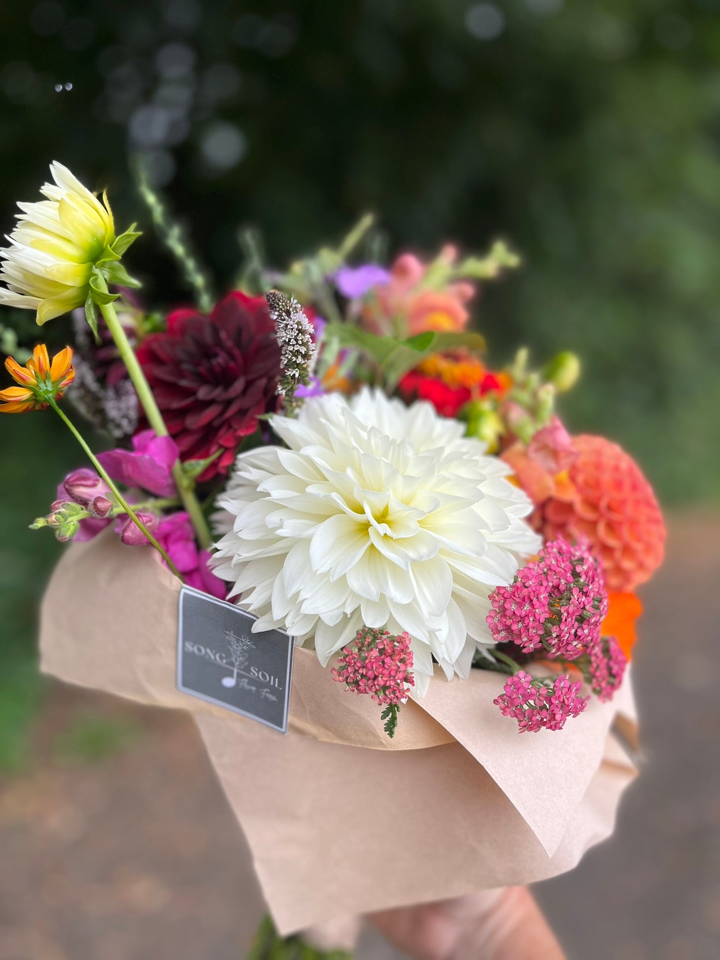 Spring Flower Subscription | Vancouver Office
