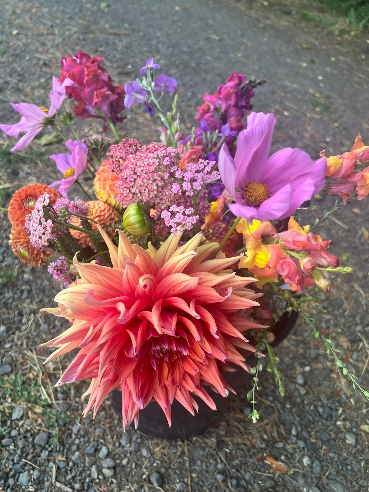Spring Flower Subscription | Vancouver Office